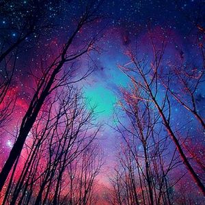 Meet your Posher, Krista